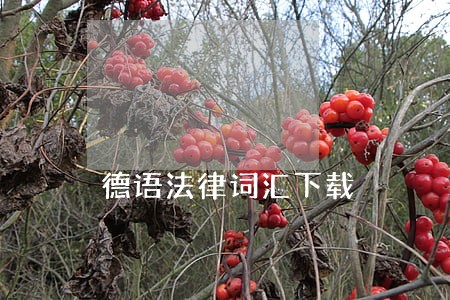 德语法律词汇下载 德语法律词汇下载