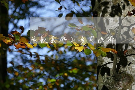 德钦县佛山乡司法所 德钦县佛山乡司法所