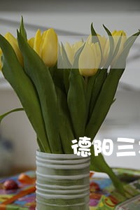 德阳三木律师 德阳三木律师