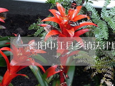 德阳中江县乡镇法律顾问 德阳中江县乡镇法律顾问