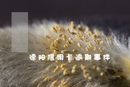 德阳信用卡逾期事件 德阳信用卡逾期事件