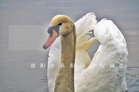 德阳市旌阳区法院网站