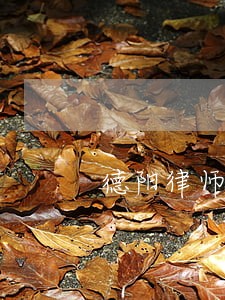 德阳律师咨询电话 德阳律师咨询电话