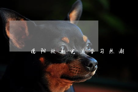德阳掀起宪法学习热潮 德阳掀起宪法学习热潮