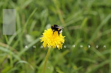 德阳法院里面律师事务所 德阳法院里面律师事务所