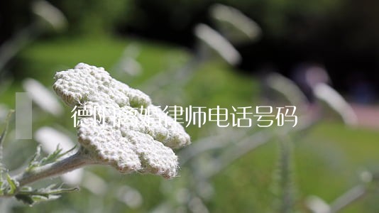 德阳离婚律师电话号码 德阳离婚律师电话号码