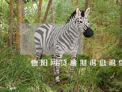 德阳网贷逾期退息退保服务费用 德阳网贷逾期退息退保服务费用