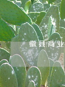 徽县商业诉讼律师 徽县商业诉讼律师