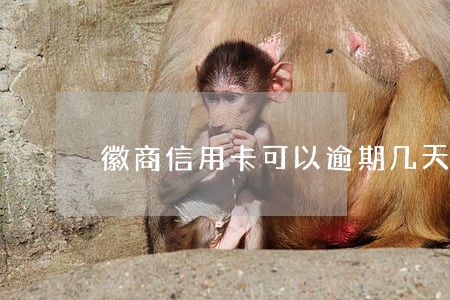 徽商信用卡可以逾期几天 徽商信用卡可以逾期几天