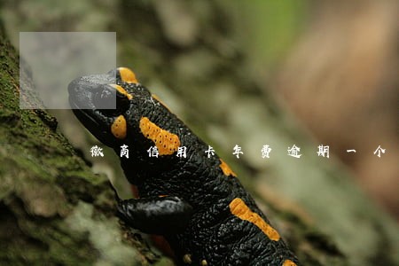 徽商信用卡年费逾期一个月