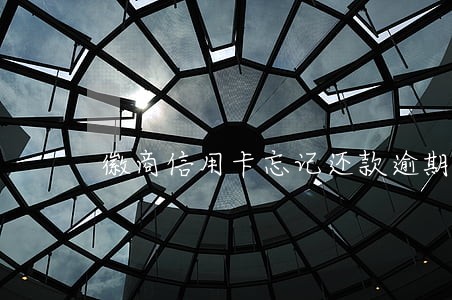 徽商信用卡忘记还款逾期了上征信 徽商信用卡忘记还款逾期了上征信
