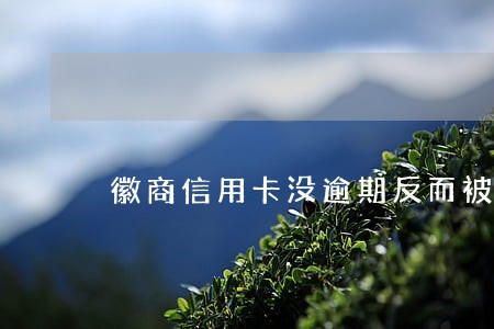 徽商信用卡没逾期反而被冻结 徽商信用卡没逾期反而被冻结