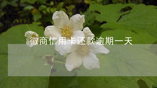 徽商信用卡还款逾期一天