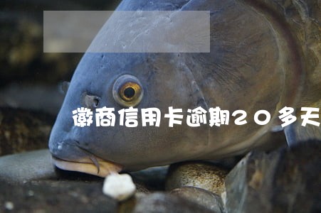 徽商信用卡逾期20多天才还 徽商信用卡逾期20多天才还
