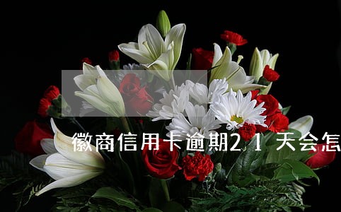 徽商信用卡逾期21天会怎样 徽商信用卡逾期21天会怎样