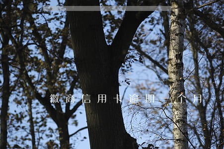 徽商信用卡逾期一个月 徽商信用卡逾期一个月