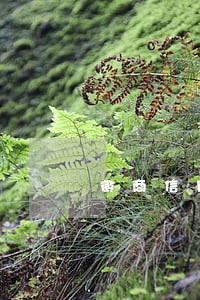 徽商信用卡逾期了打电话没人接
