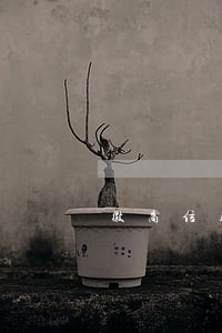 徽商信用卡逾期会封卡 徽商信用卡逾期会封卡