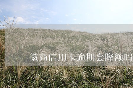 徽商信用卡逾期会降额吗 徽商信用卡逾期会降额吗