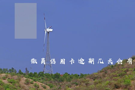 徽商信用卡逾期几天会有不良记录 徽商信用卡逾期几天会有不良记录