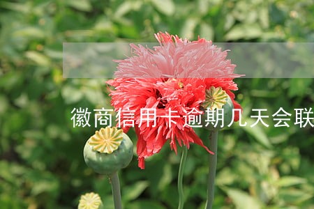 徽商信用卡逾期几天会联系