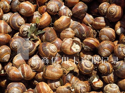 徽商信用卡逾期记录