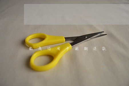 徽商信用卡逾期还款