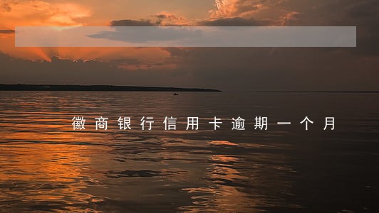 徽商银行信用卡逾期一个月 徽商银行信用卡逾期一个月