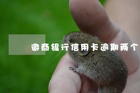 徽商银行信用卡逾期两个月 徽商银行信用卡逾期两个月