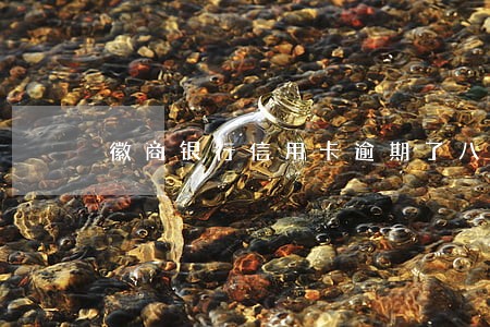 徽商银行信用卡逾期了八天 徽商银行信用卡逾期了八天