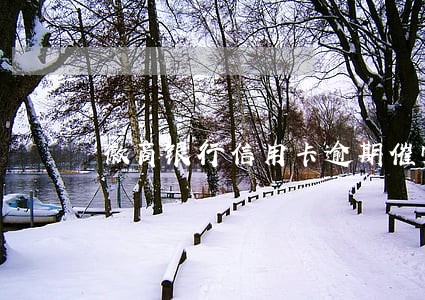 徽商银行信用卡逾期催帐公司 徽商银行信用卡逾期催帐公司