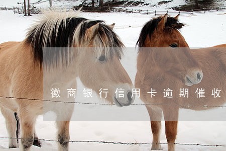 徽商银行信用卡逾期催收中心 徽商银行信用卡逾期催收中心