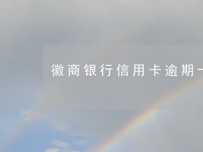 徽商银行信用卡逾期十天 徽商银行信用卡逾期十天