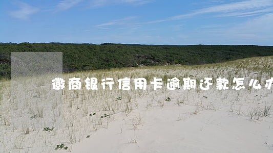 徽商银行信用卡逾期还款怎么办 徽商银行信用卡逾期还款怎么办