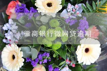 徽商银行微网贷逾期 徽商银行微网贷逾期