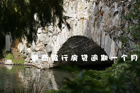 徽商银行房贷逾期一个月会怎样 徽商银行房贷逾期一个月会怎样