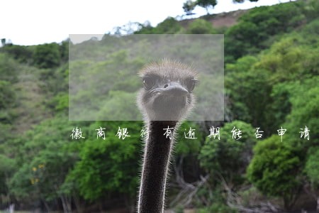 徽商银行有逾期能否申请贷款 徽商银行有逾期能否申请贷款