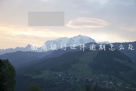 徽商银行证件逾期怎么处理