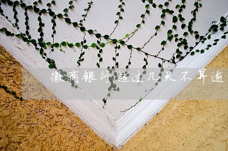 徽商银行超过几天不算逾期 徽商银行超过几天不算逾期