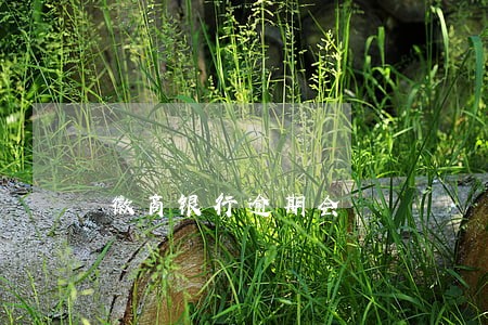 徽商银行逾期会 徽商银行逾期会