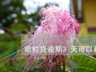 徽粒货逾期3天可以再次下款吗 徽粒货逾期3天可以再次下款吗