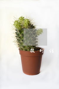 徽行信用卡晚一天算逾期吗 徽行信用卡晚一天算逾期吗