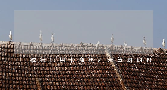 徽行信用卡晚还2天算逾期吗 徽行信用卡晚还2天算逾期吗