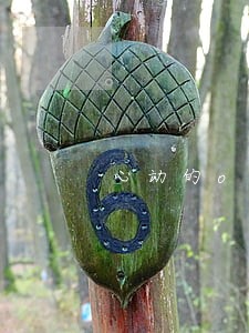 心动的offer第2季陆律师微博 心动的offer第2季陆律师微博