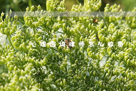 心理咨询律师怎么收费 心理咨询律师怎么收费