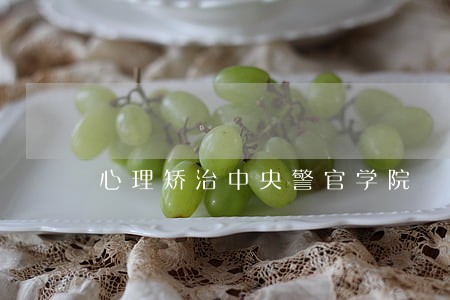 心理矫治中央警官学院