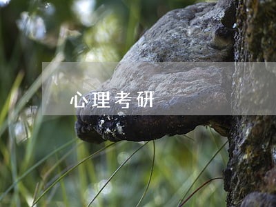 心理考研 心理考研