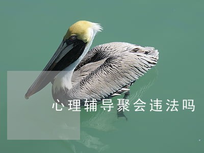 心理辅导聚会违法吗 心理辅导聚会违法吗