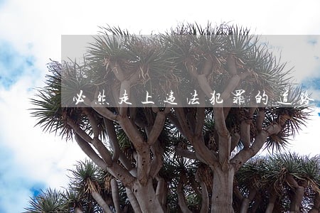 必然走上违法犯罪的道路 必然走上违法犯罪的道路