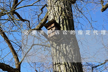必要共同诉讼的指定代理人 必要共同诉讼的指定代理人